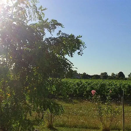 Le Soleil En Gironde Vakantiehuis *
